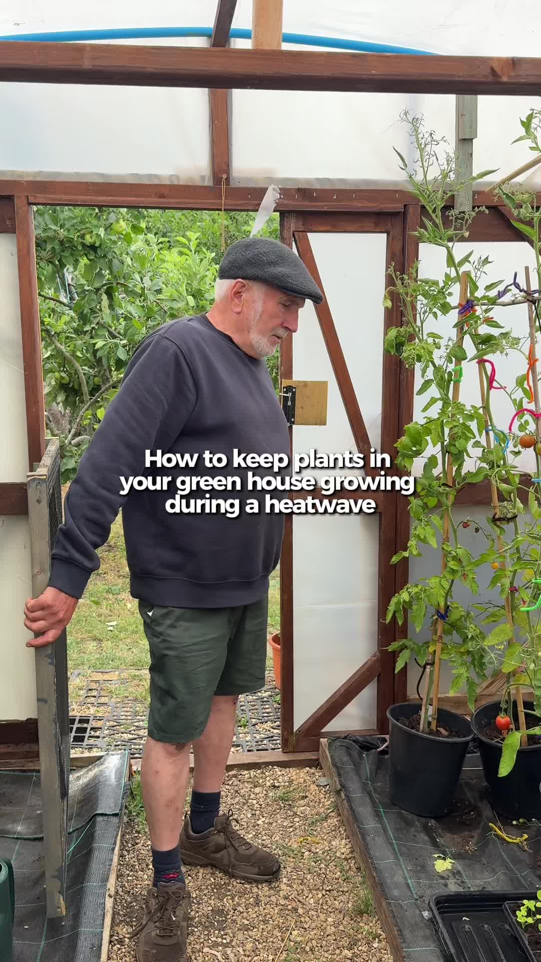 @AllotmentOnline