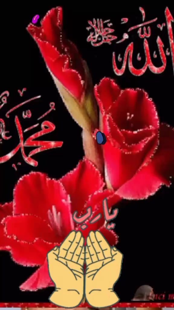 @Belal Hossain