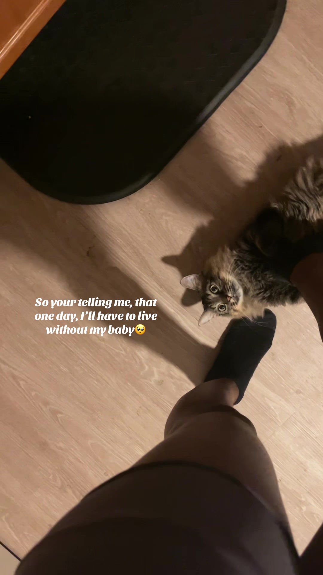 @C🌸💕