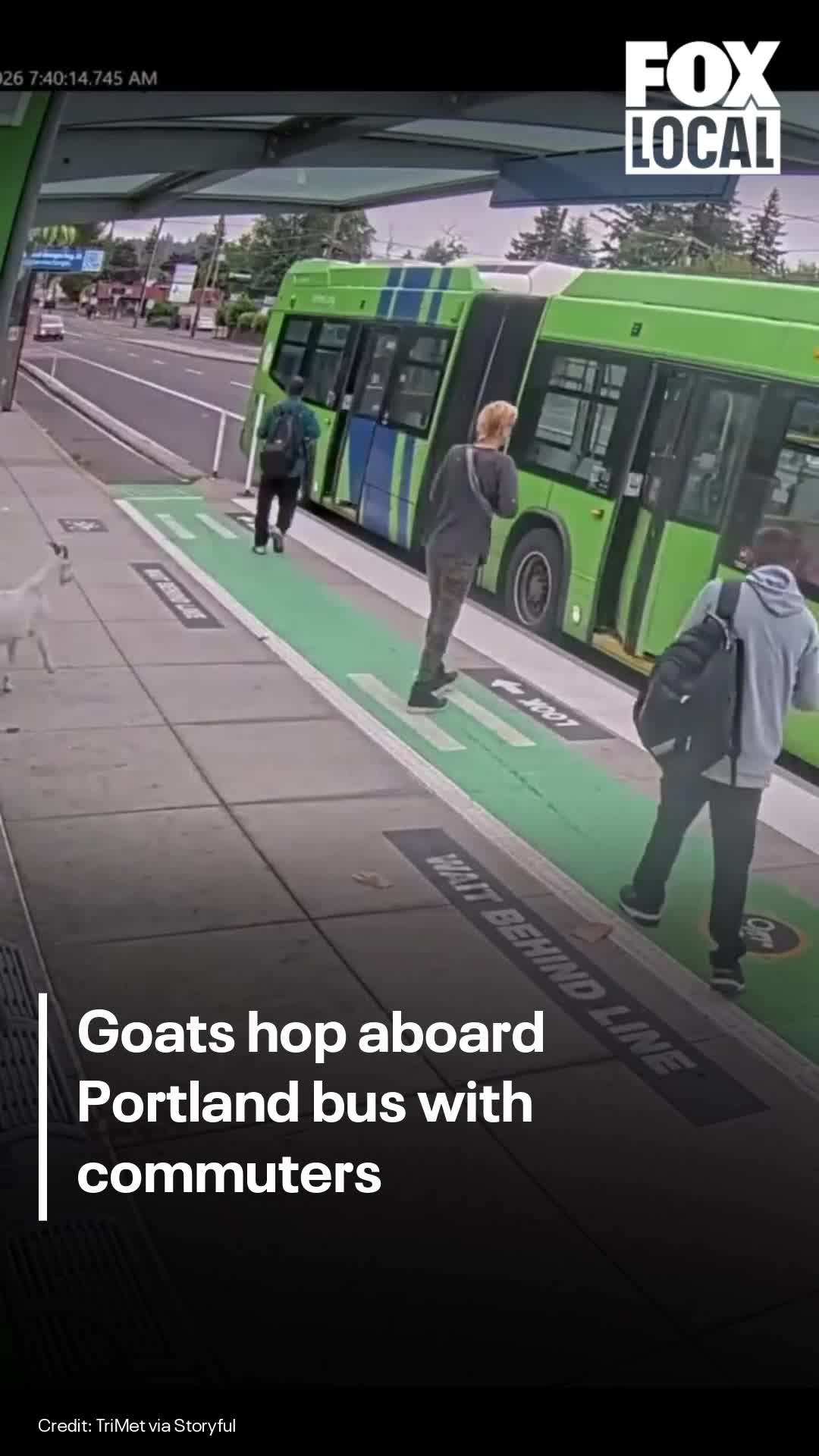 @FOX 13 Seattle
