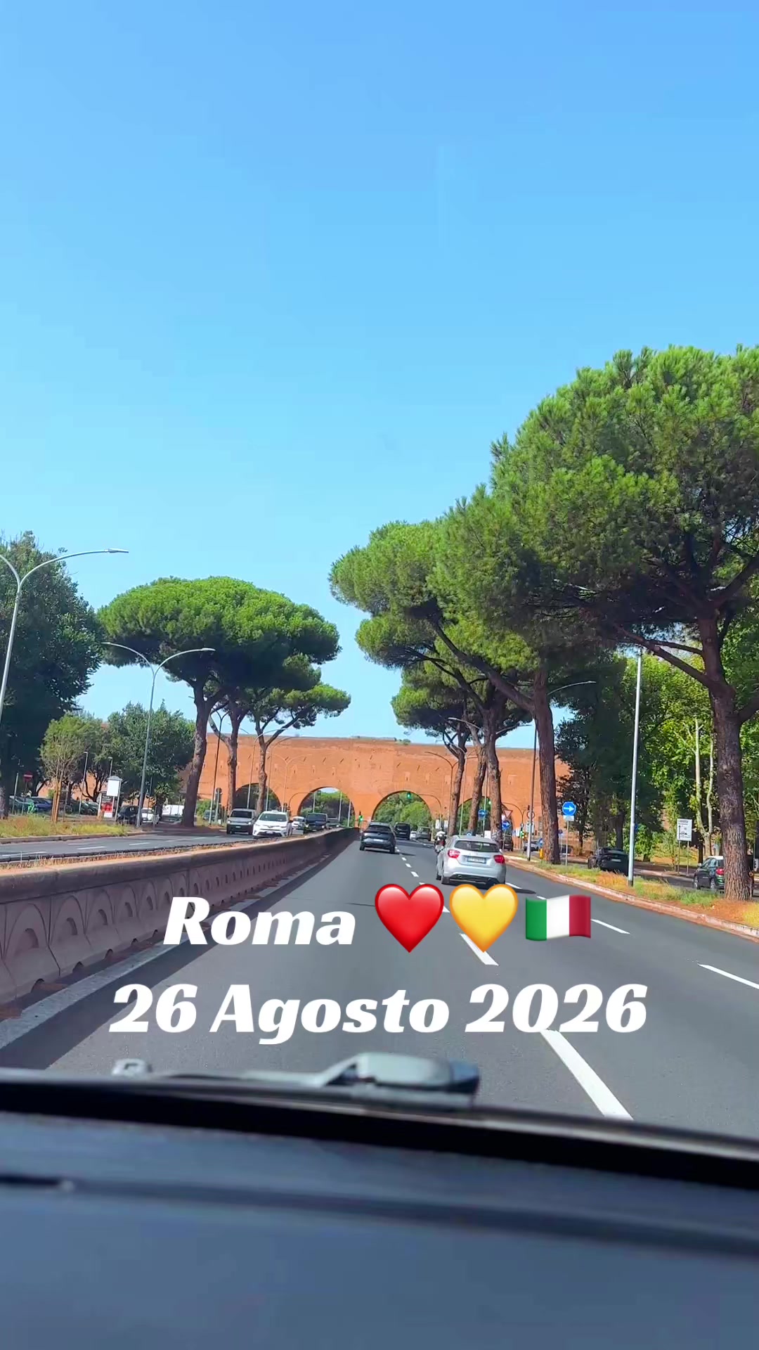 @♥️🐾💛Nina Barboncino ♥️🐾💛