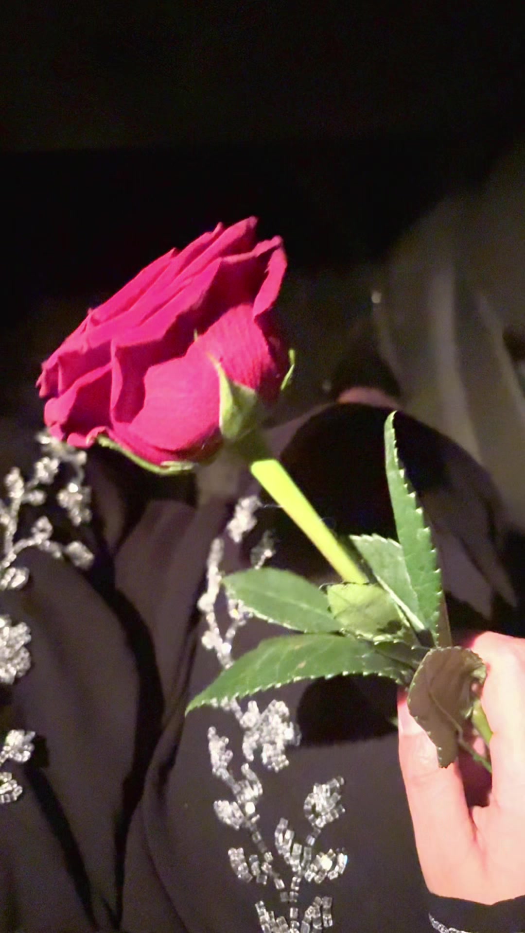 @شازز❣️.