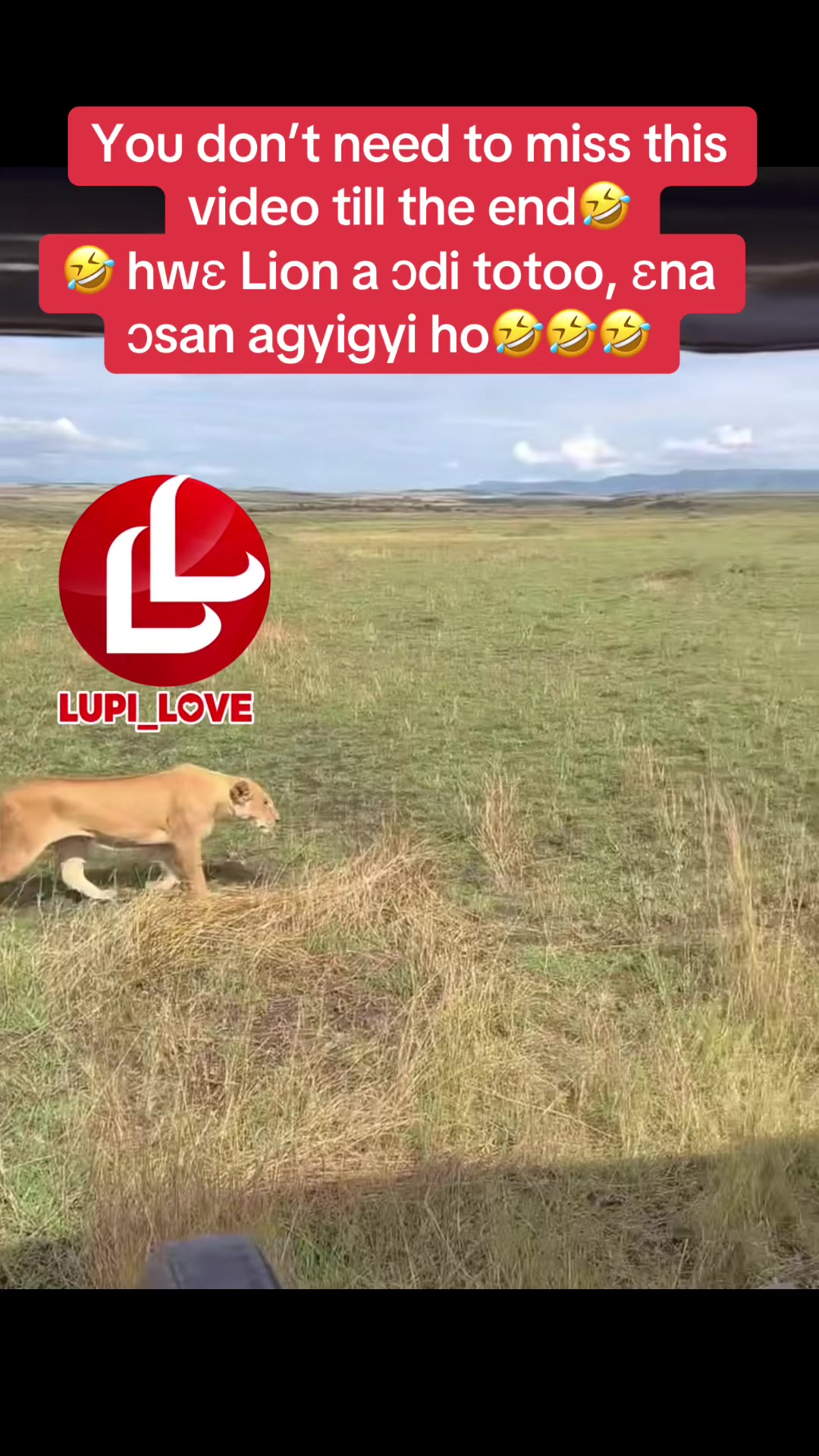 @lupi_Love_Kyannel🎙️