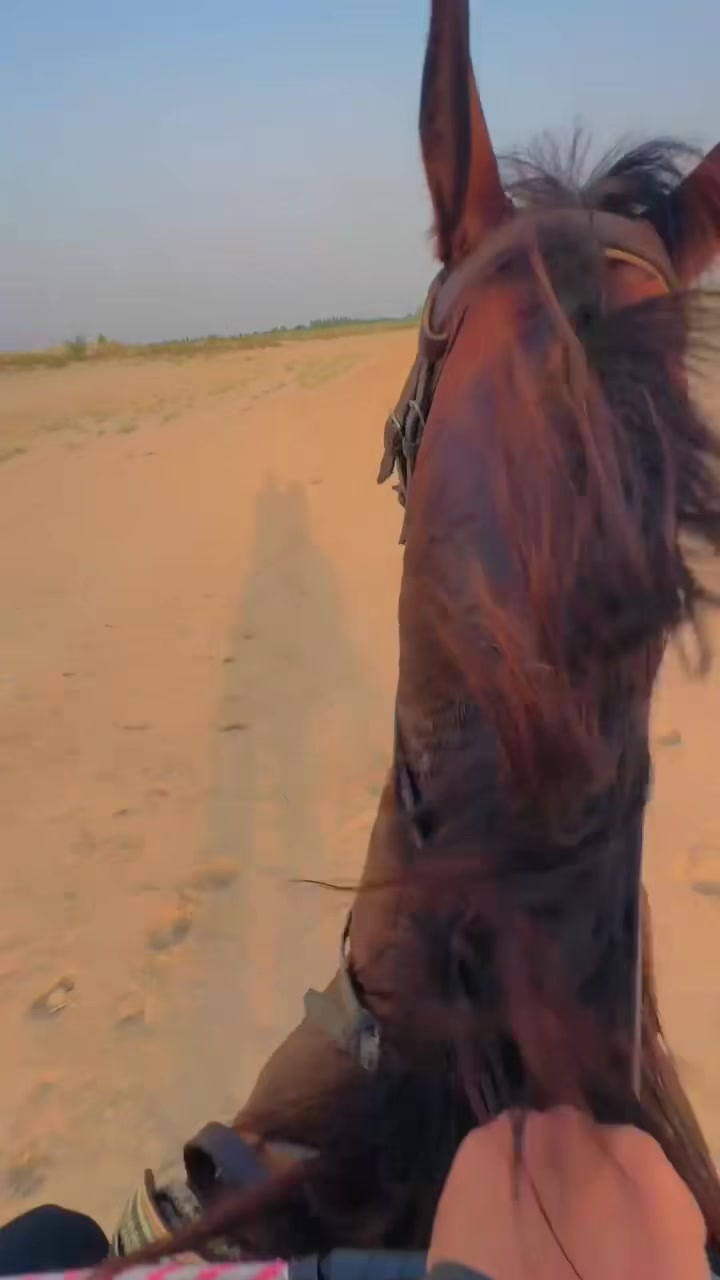 @AsadRehmanRokhri