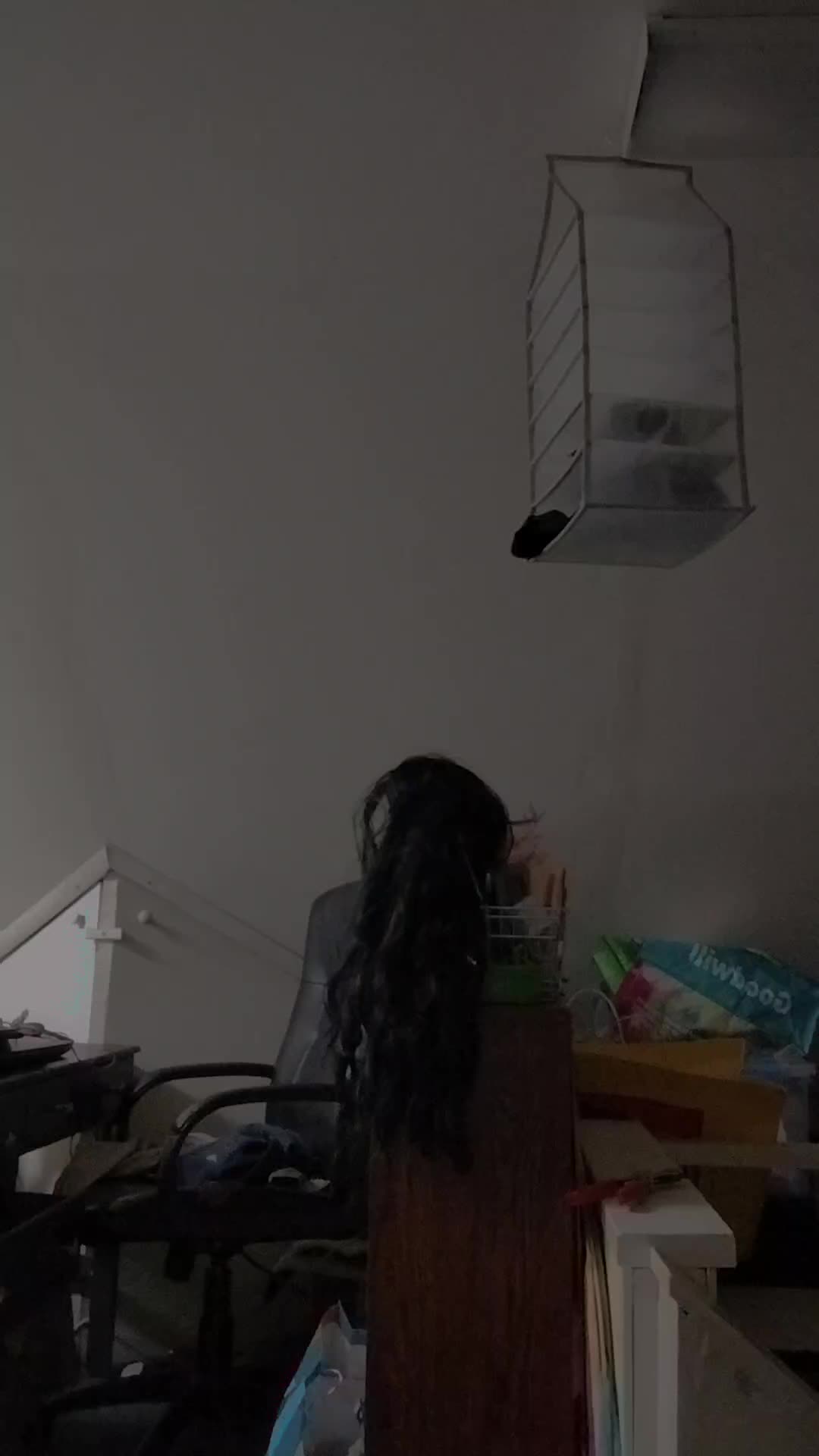 @GenderButNot