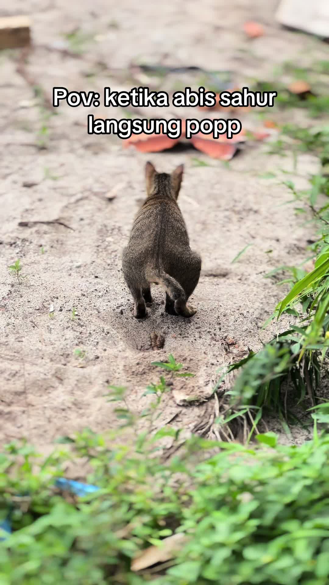 @Kang.kardus