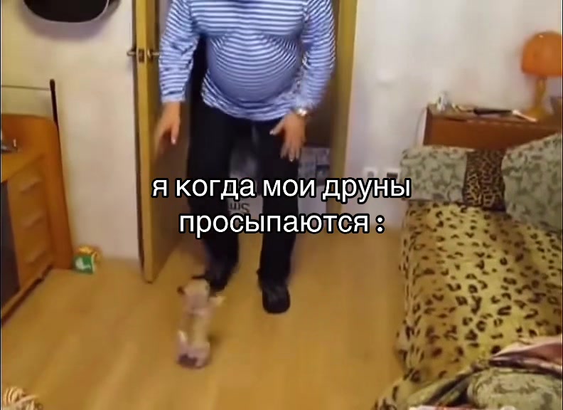 @⁅🤍•˚𓏲𐌳᥎ꭉִׄ𐌴ʀɪ𐌳𐍰 ׄ╼ོ !!