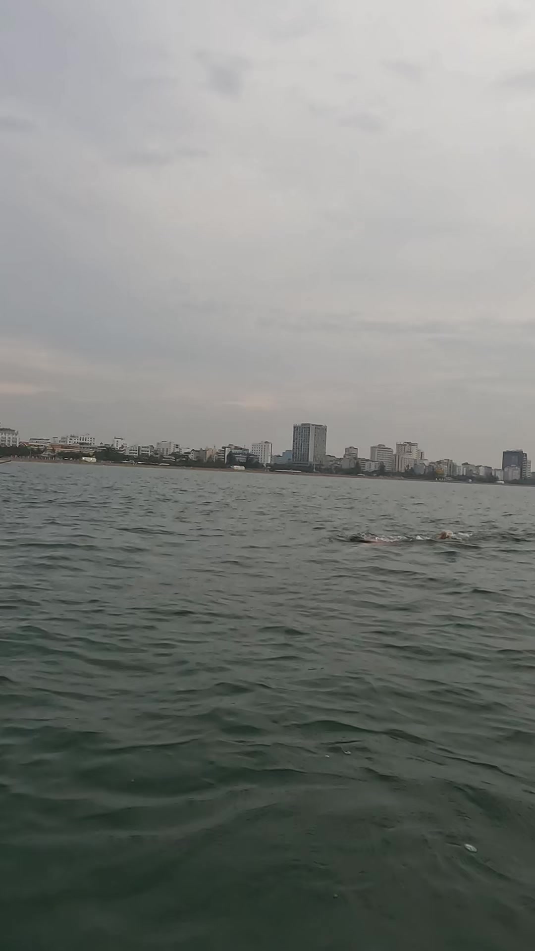 @Đinh Thuần Swimming