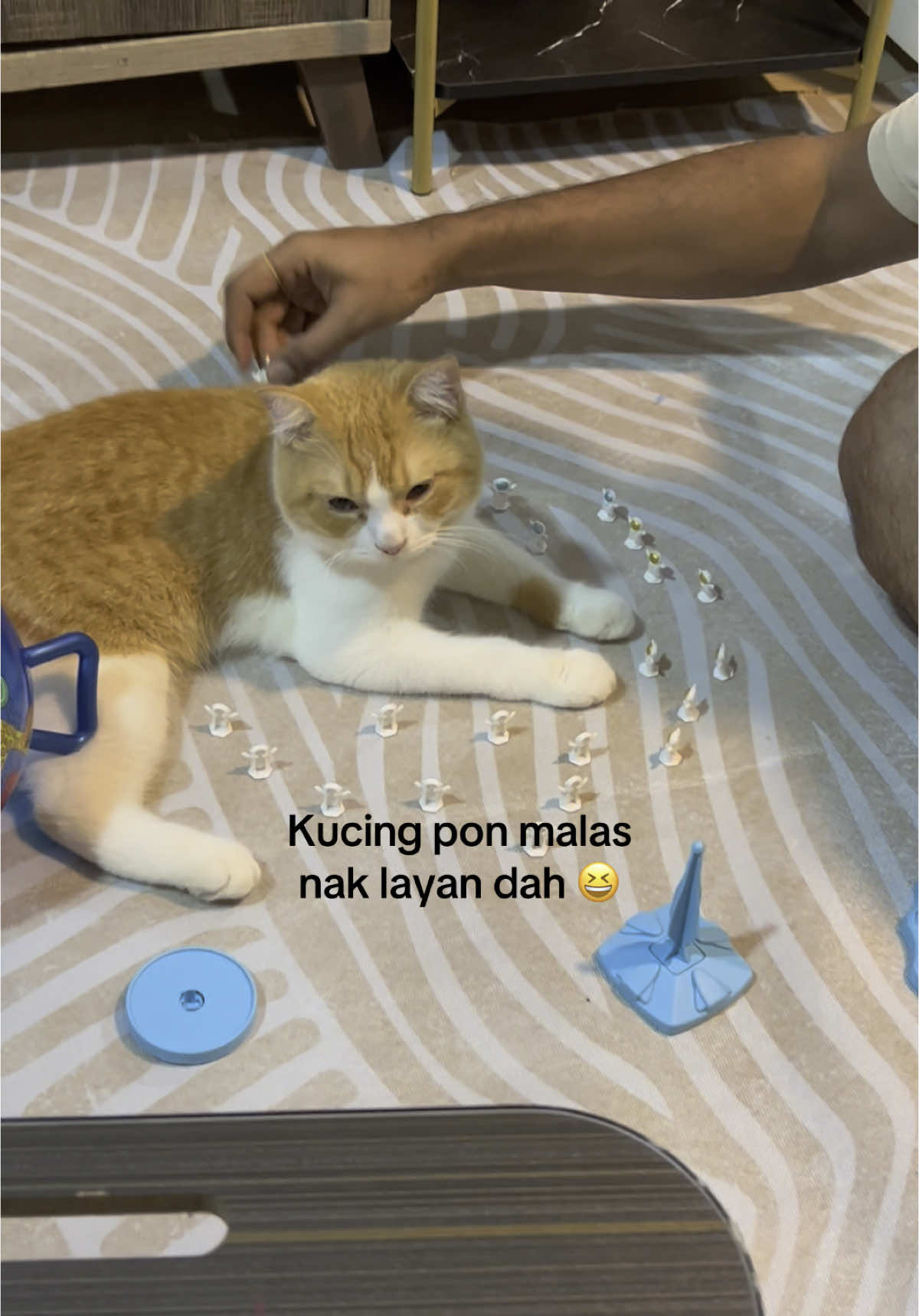 @Diyana Hussin