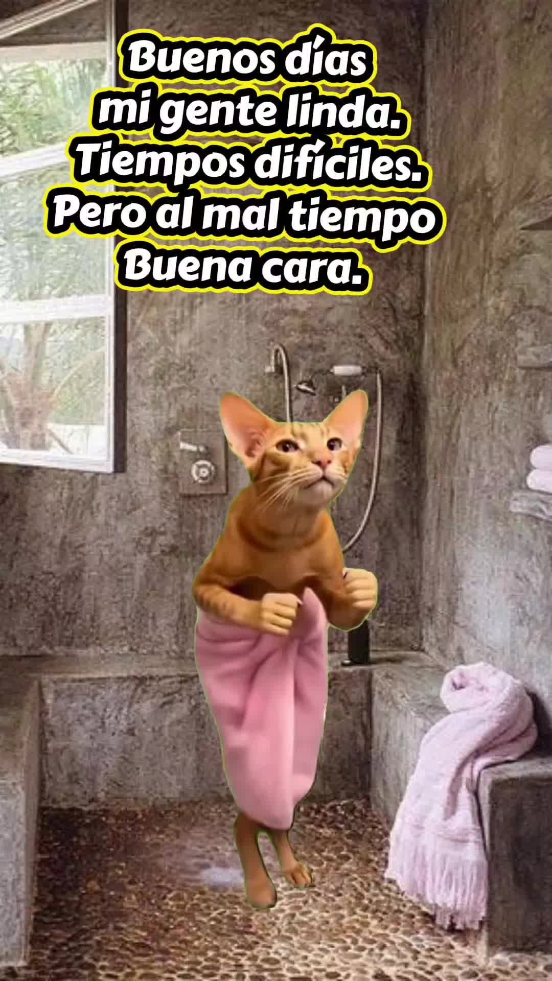 @@carmencita63