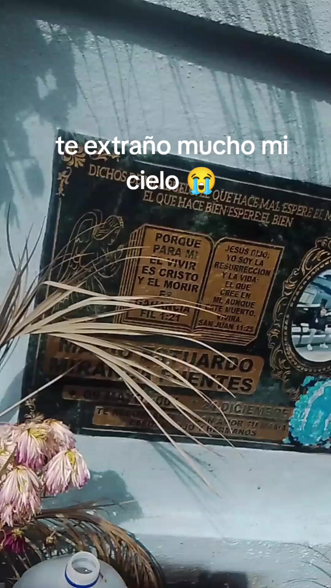 @mi t&oacute;xica 🥷👾✨