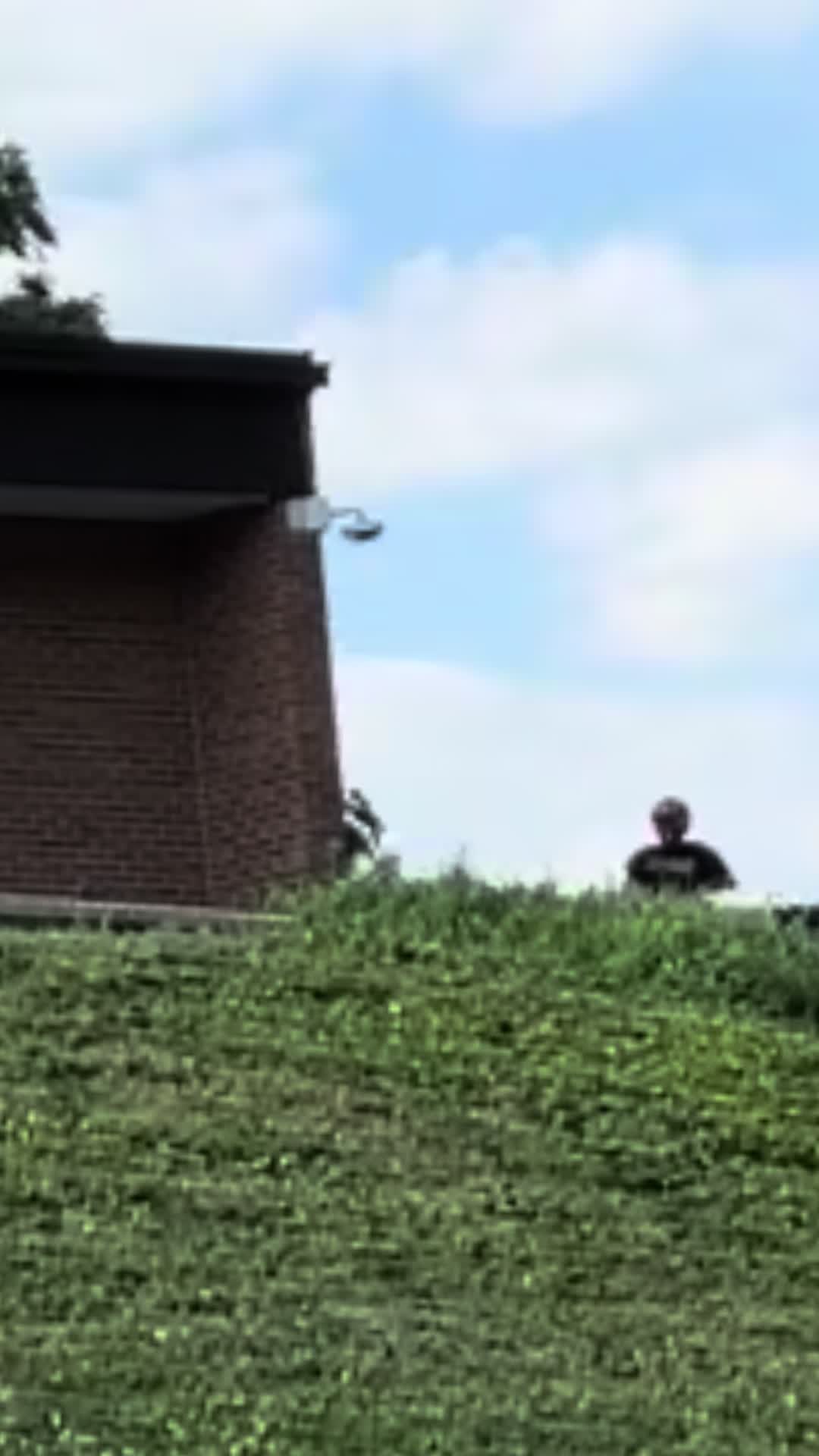 @Yozma Springfield