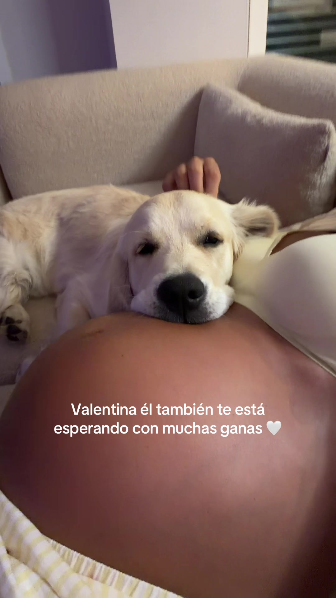 @Claudia Martinez