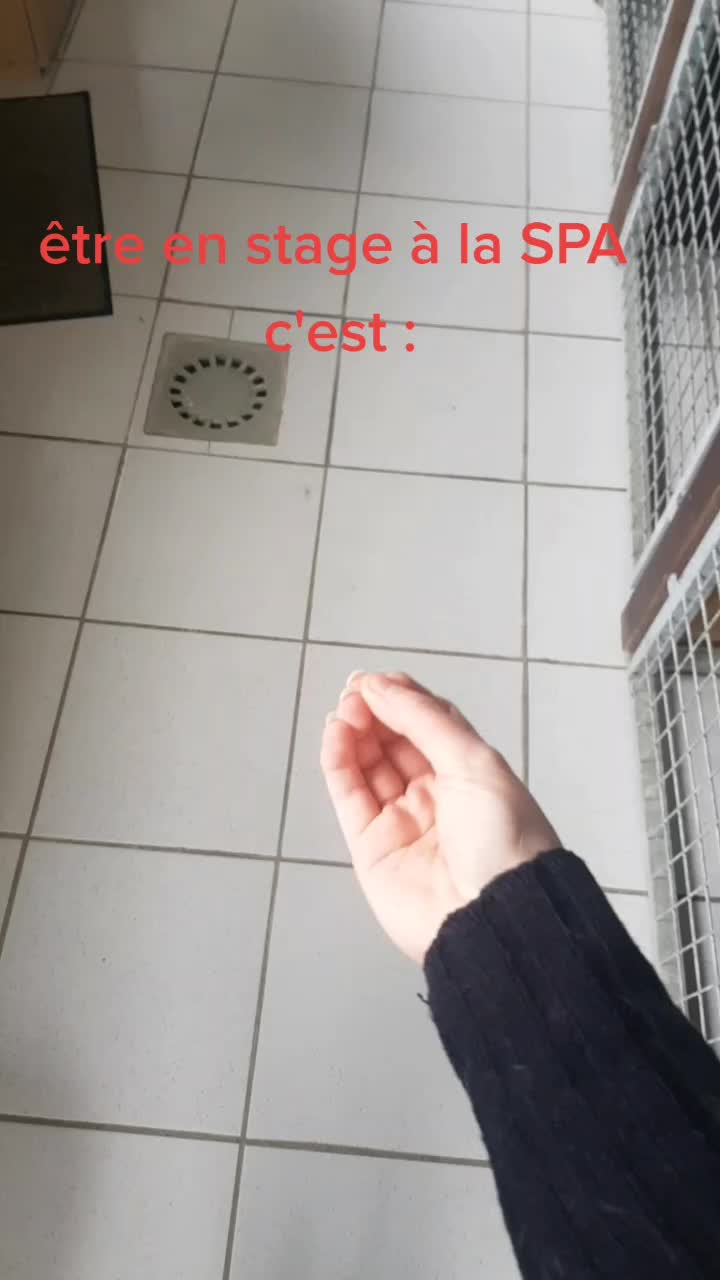 @Amandine