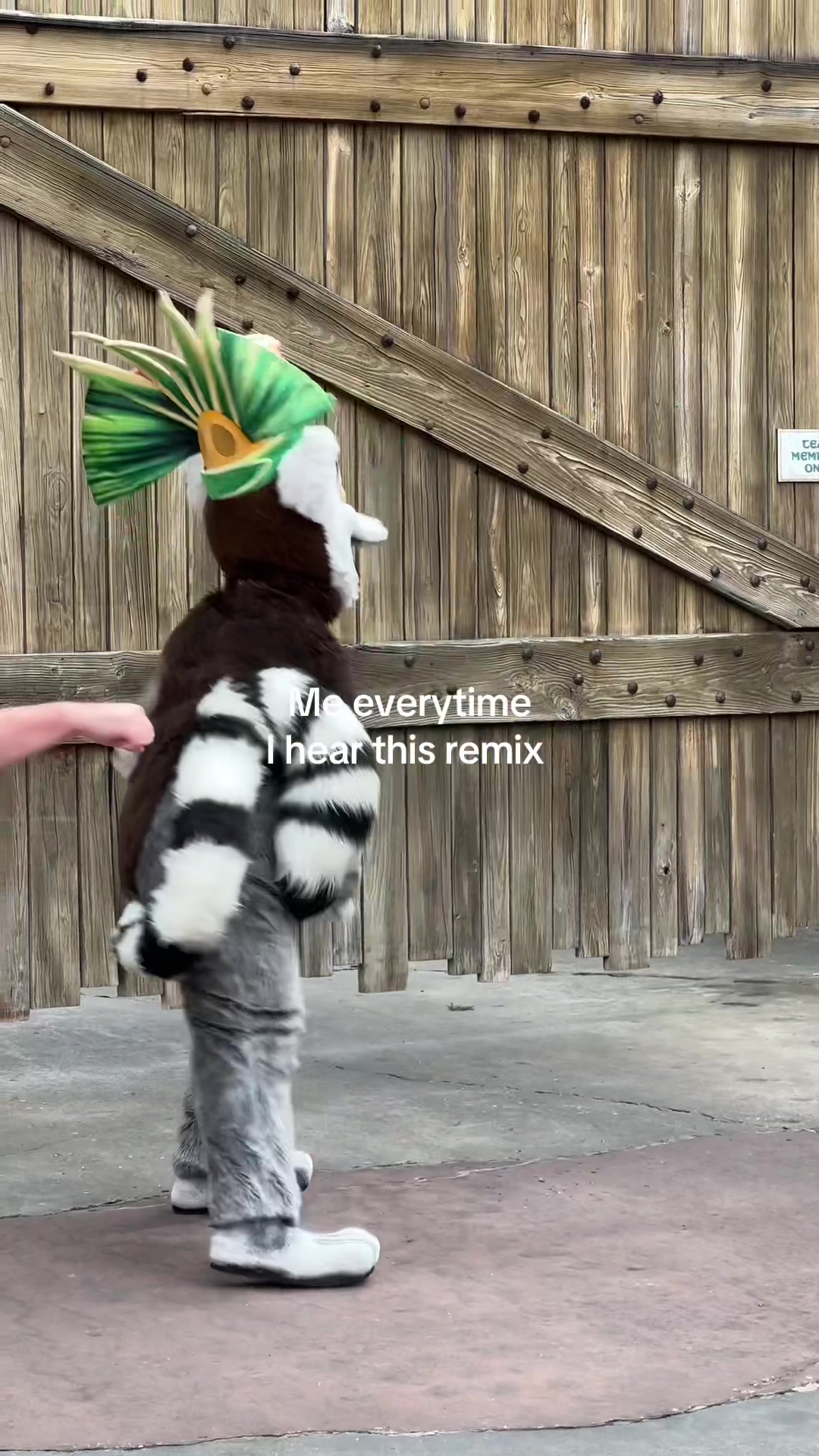 @the_theme_team_