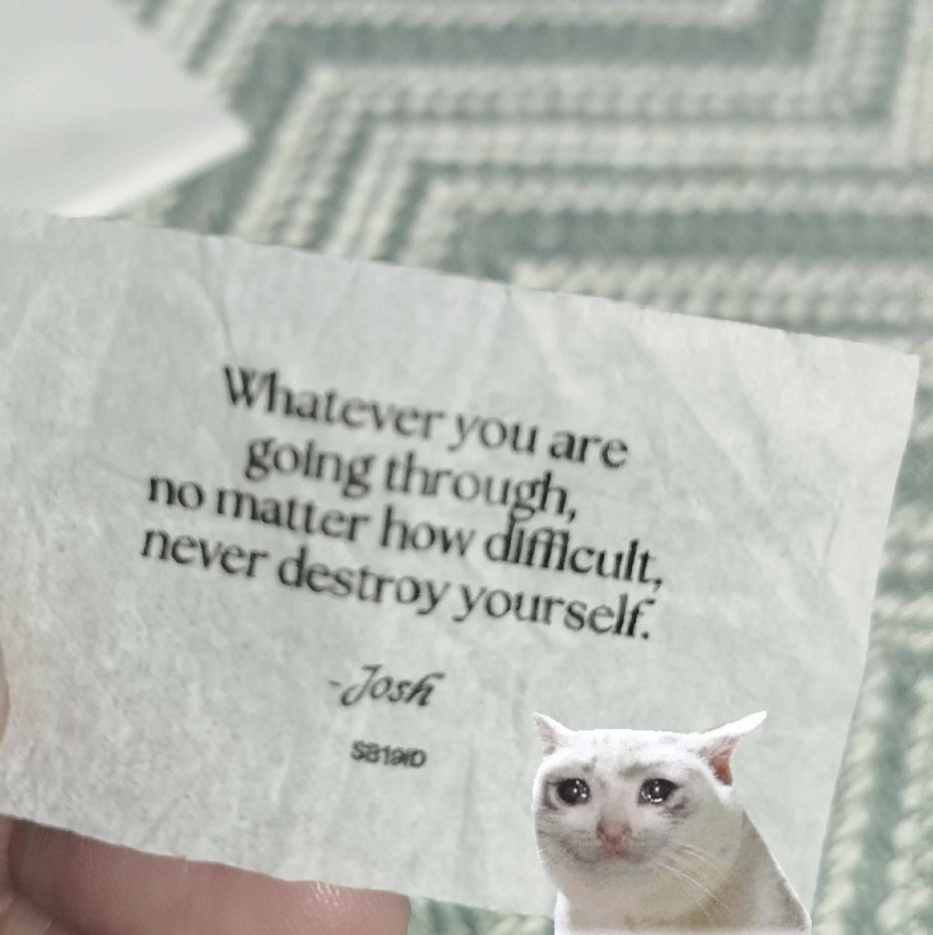 @Alaya