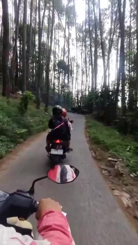 @@CINTA77