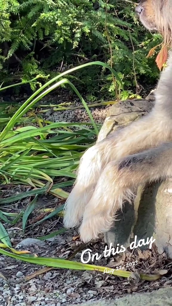 @🇨🇦 Alison Logee 🥰🐿