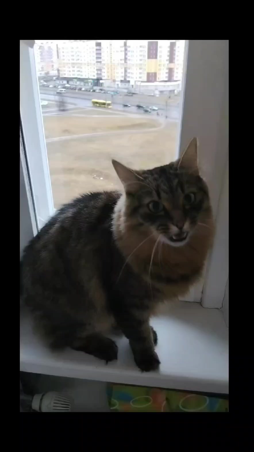 @Марсик😺💖