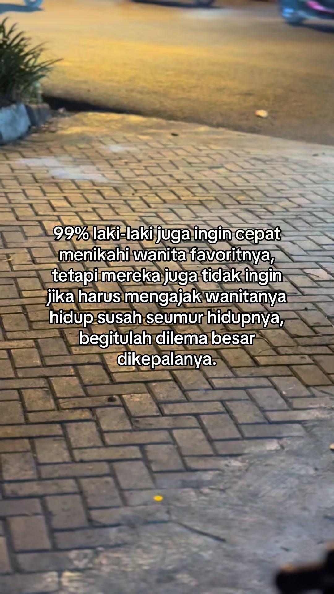 @Tauf1q