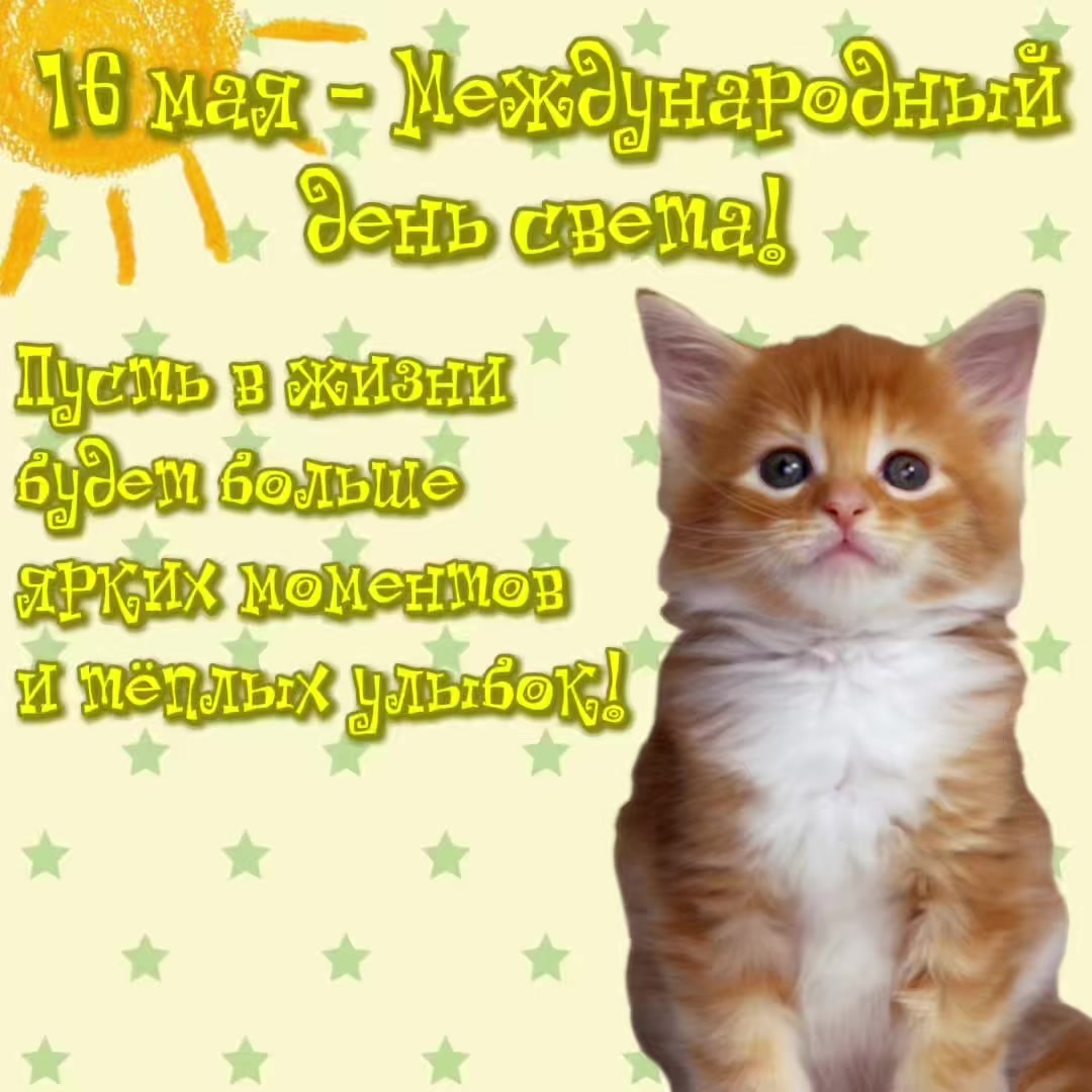 @котики на каждый день