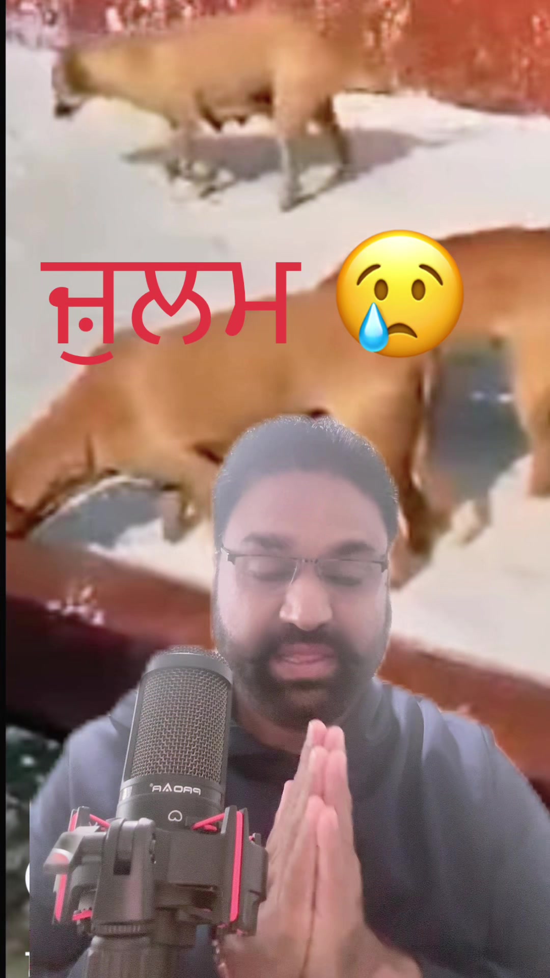 @Jagdeep randhawa