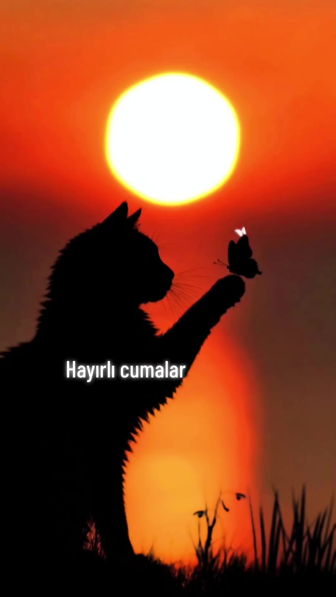 @Rahşan ünr