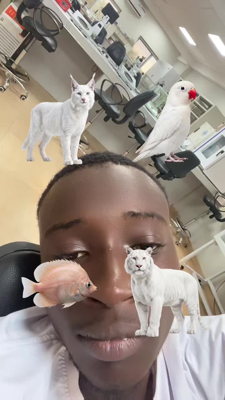 @Noa Sterling