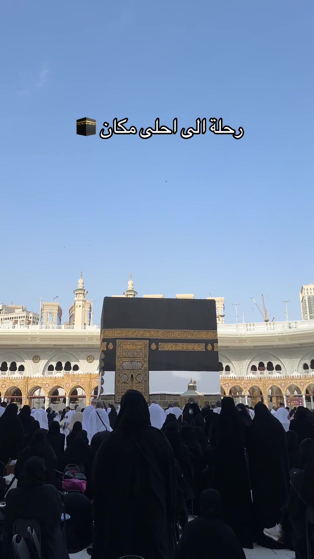 @نوف/ماما لعُمر🧸♥️/المدينة.