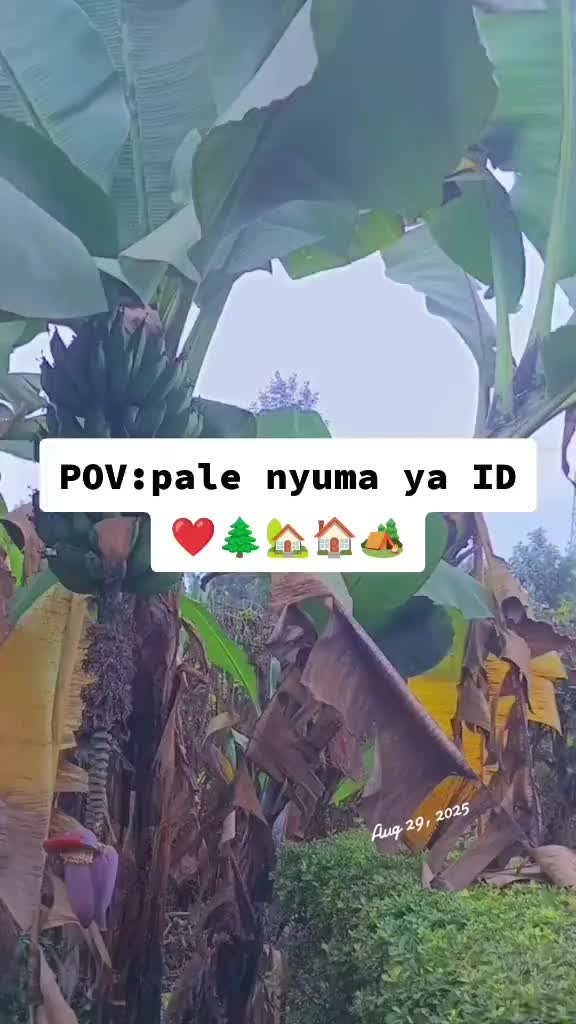 @Evah🎀💲