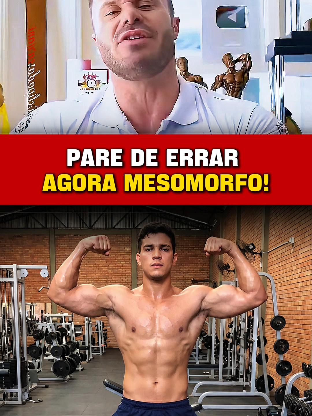 @Projeto Monstro