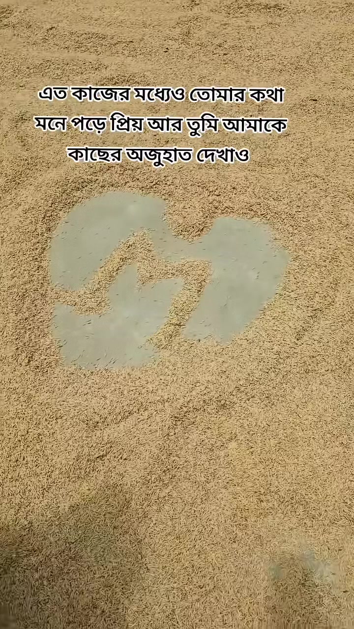 @đĨāĻŽāĻžāϝāĻŧāĻžāĻŦāϤ⧠đĨ