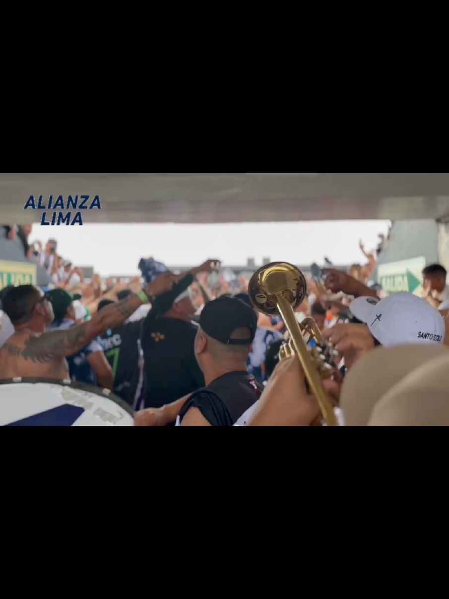 @GustavoTrumpet💙
