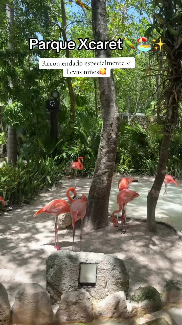 @Melissa___quiroz