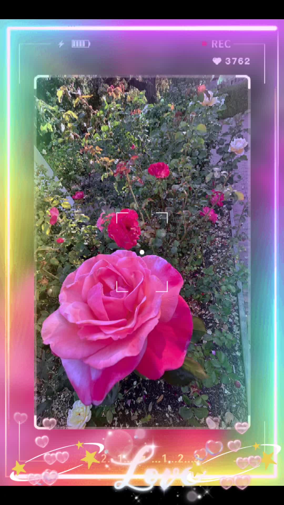 @❤️Luisa❤️