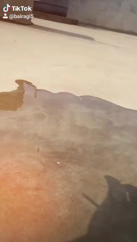 @mishtu0