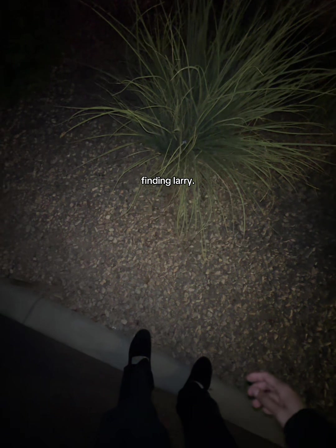 @christianbobbyspam