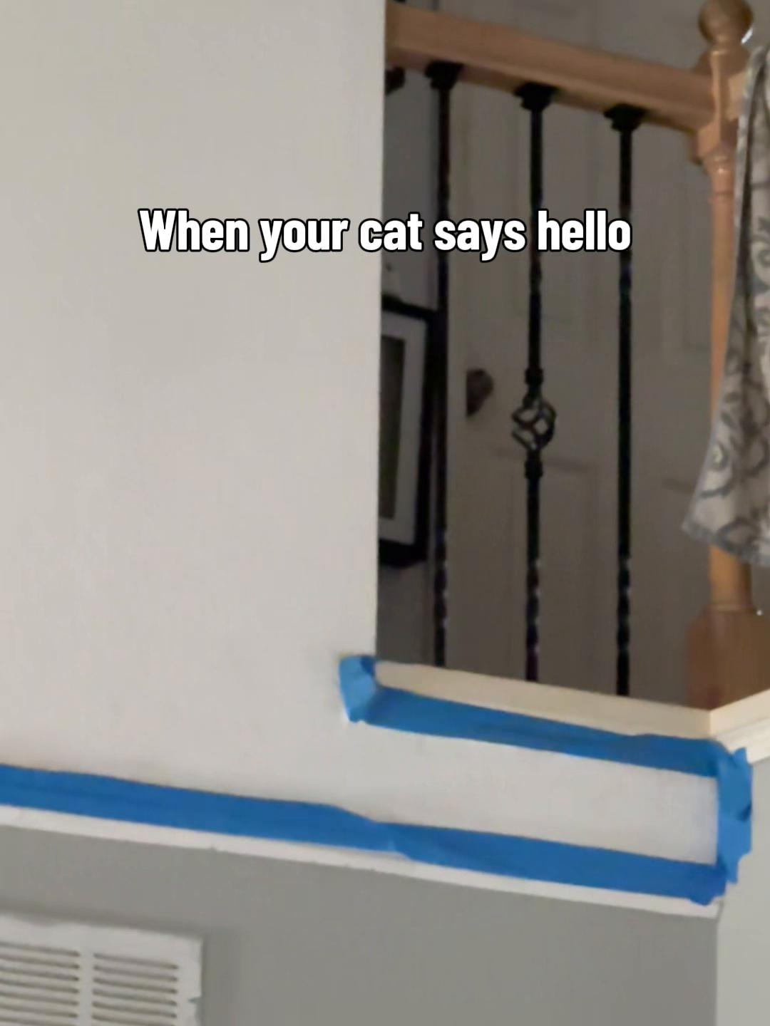 @Filorican1104