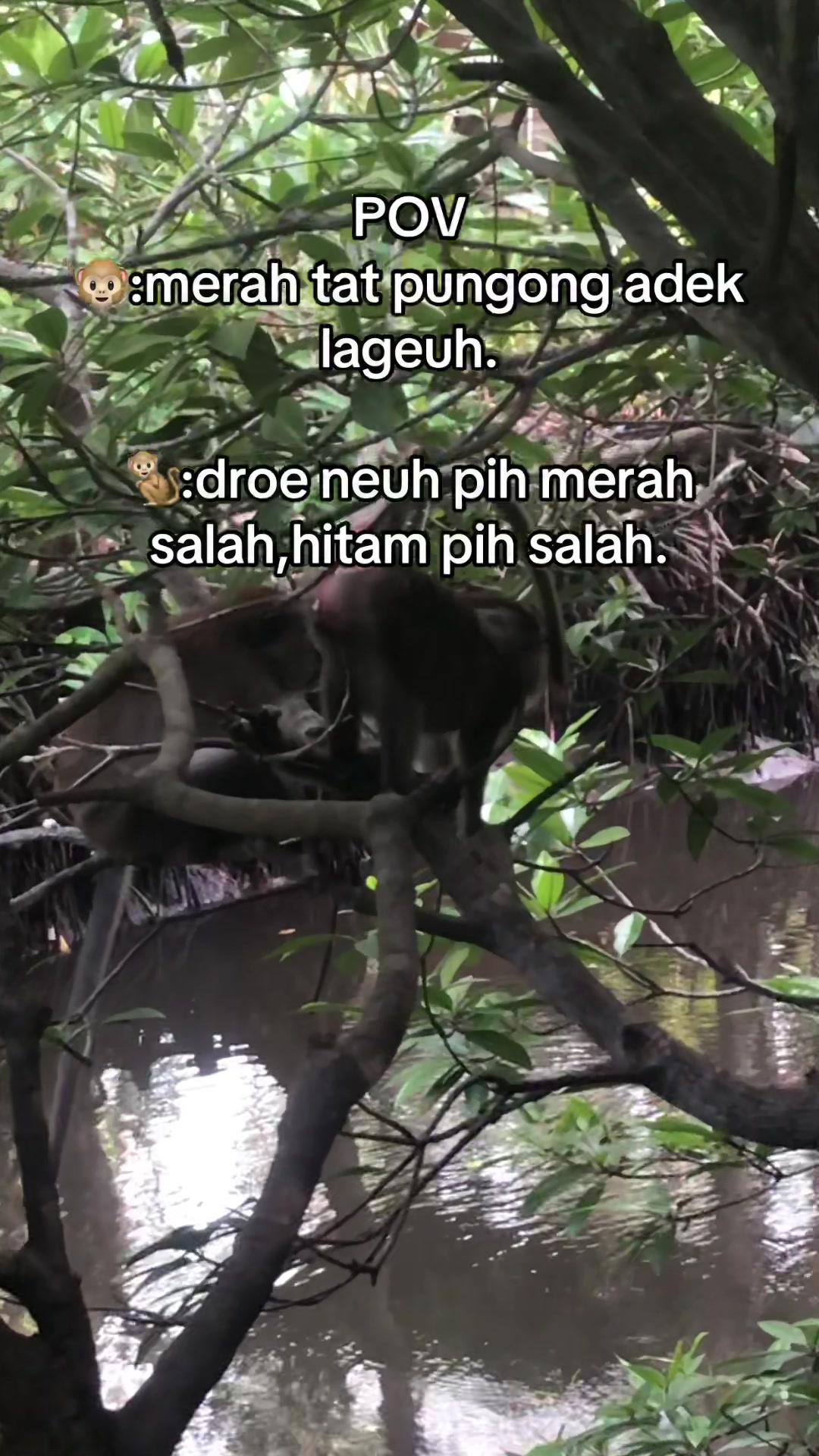 @Wanda & raff