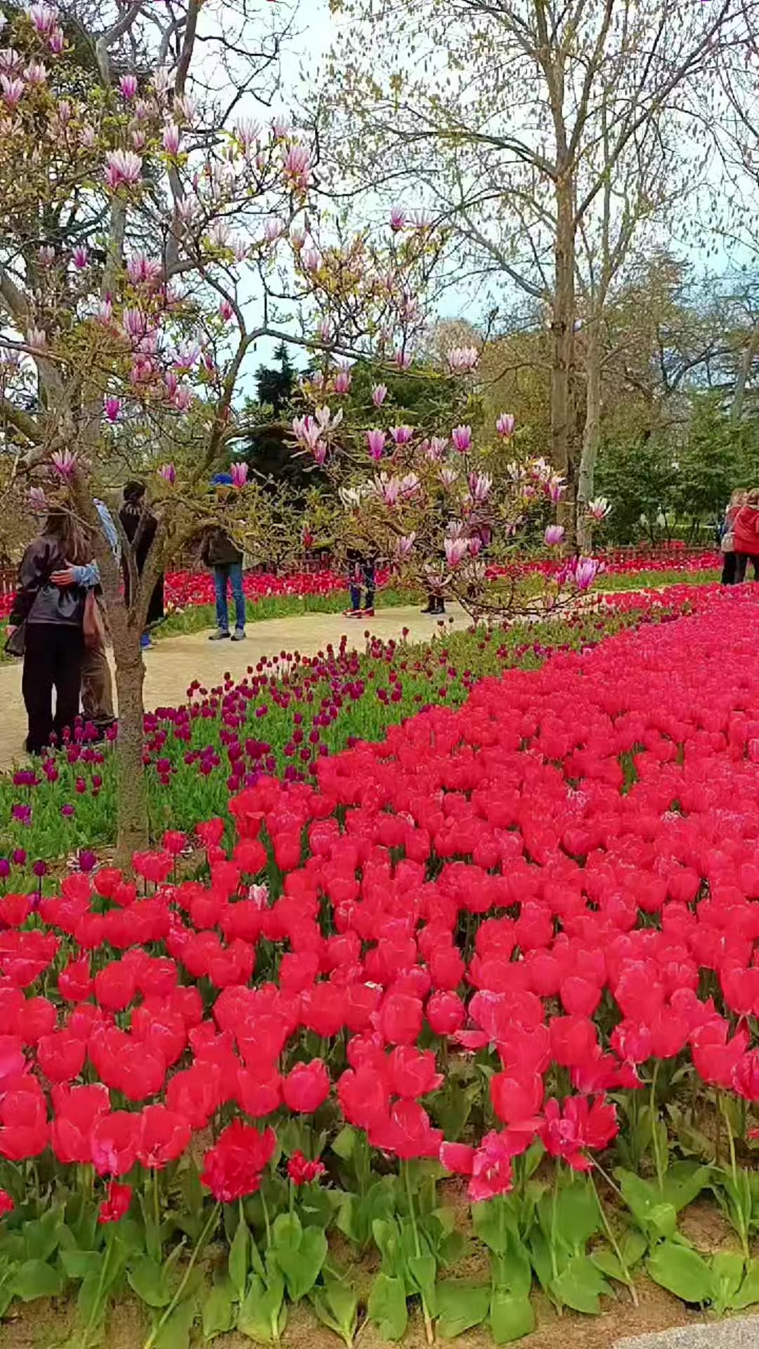 @بنت سوريا