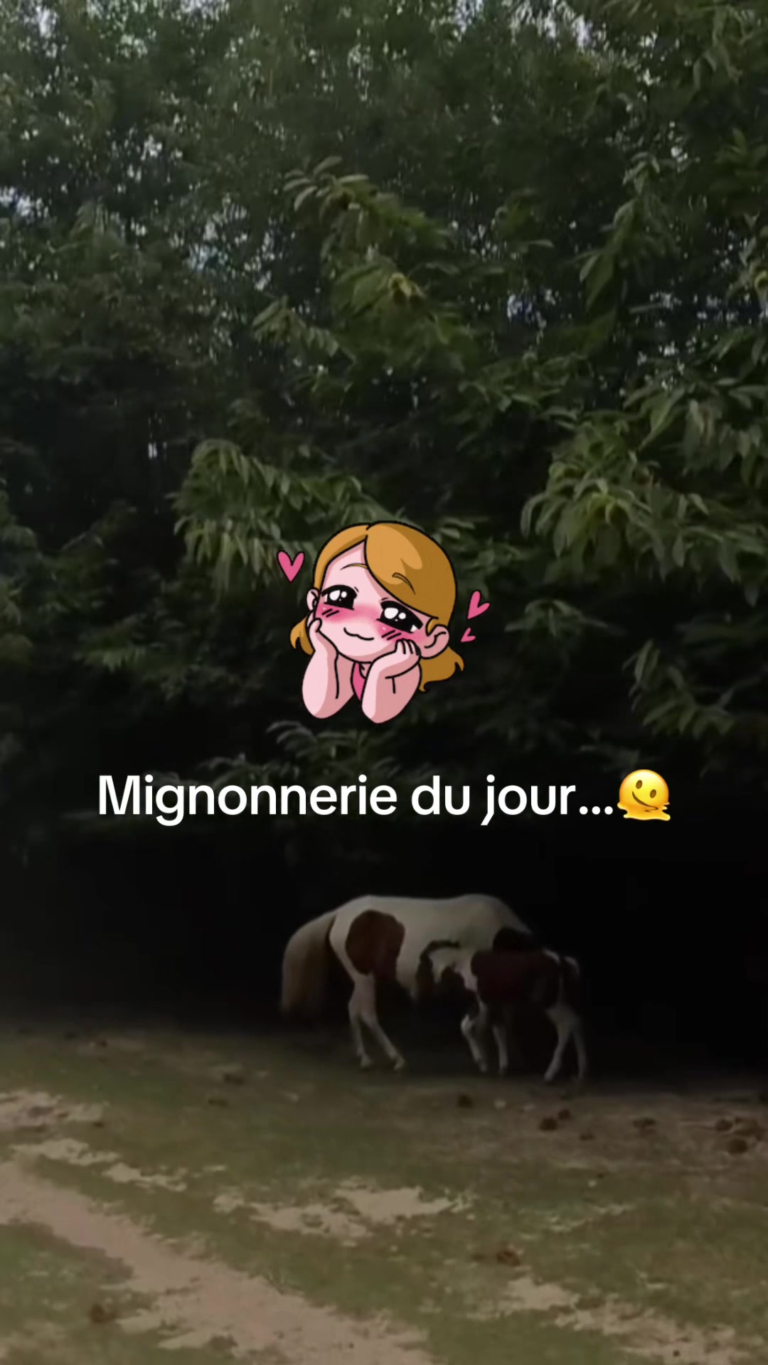 @Sève40