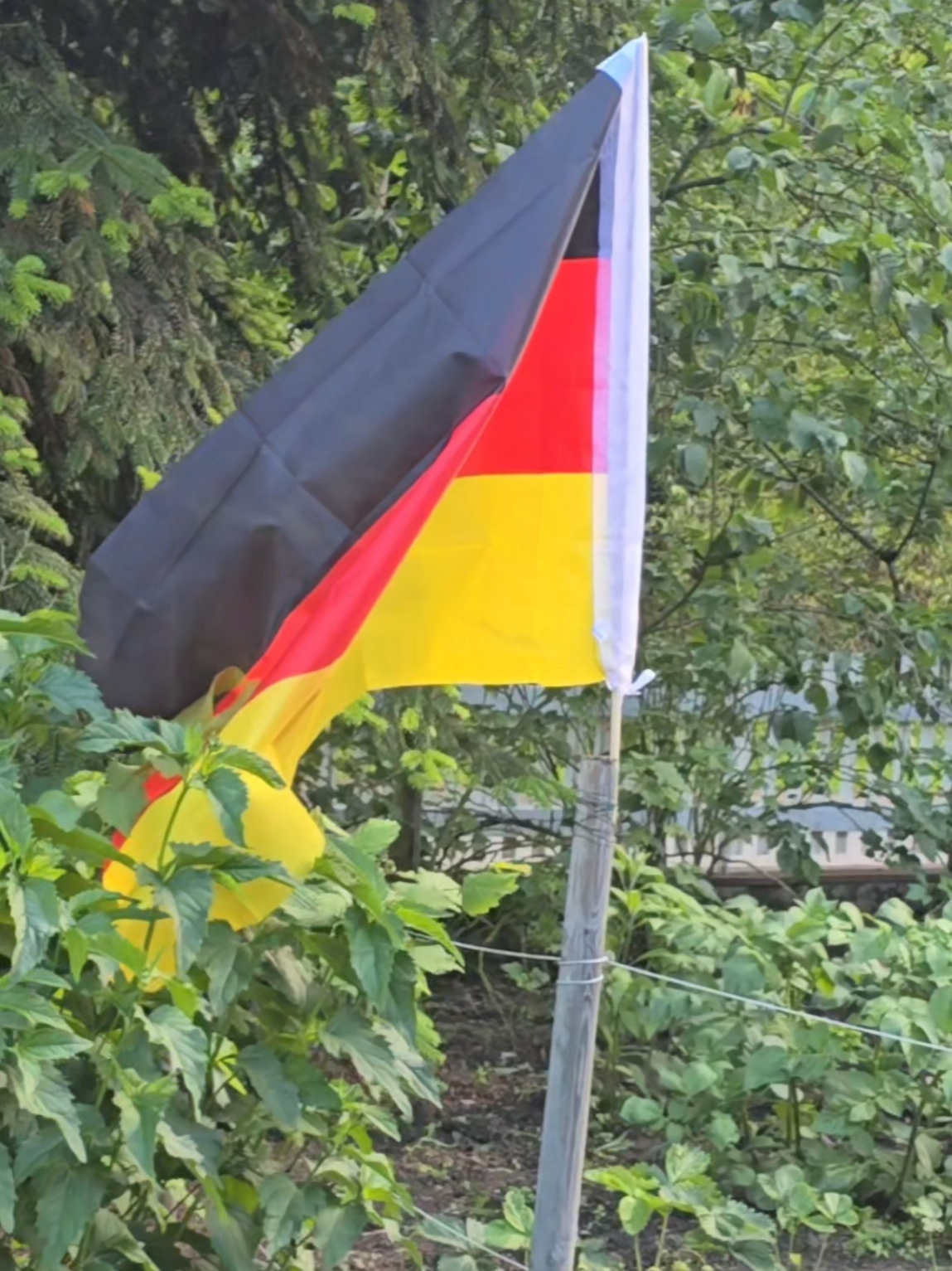 @Die Abenteuer von Garry