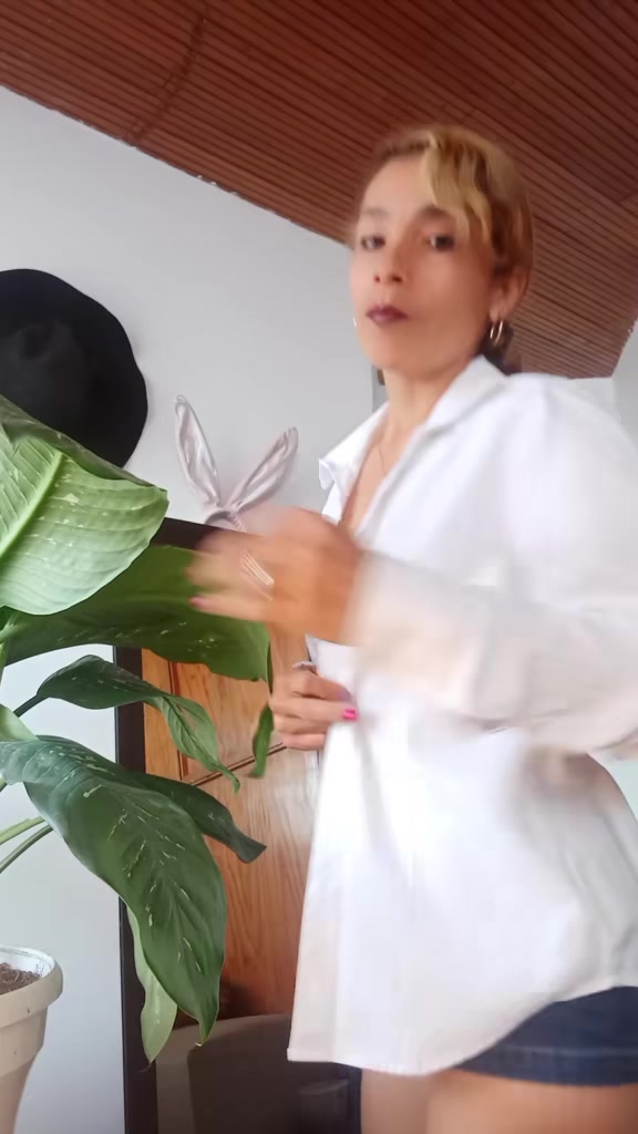 @leonaconejita🦁🐰, 🇨🇴 💃