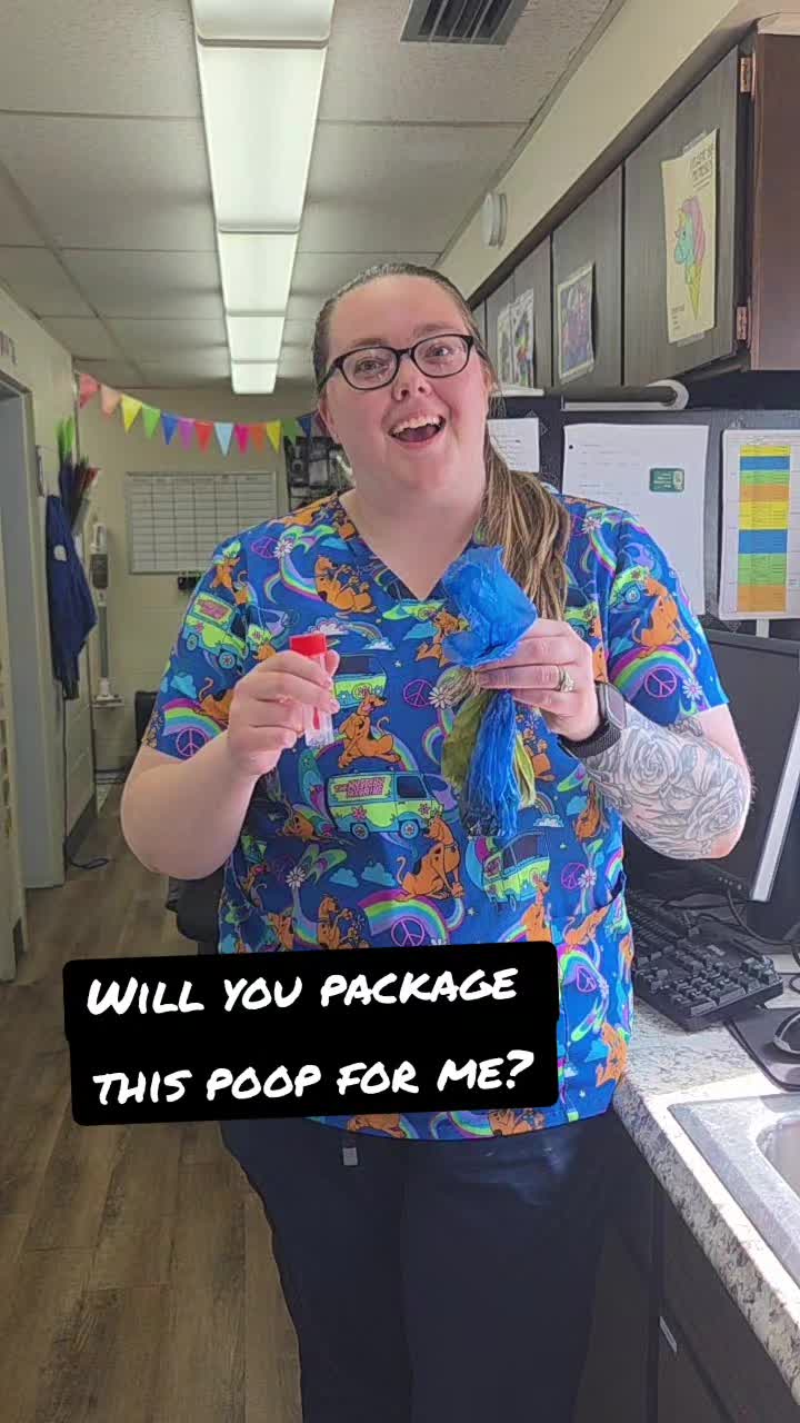 @Chateau Dog & Cat Hospital