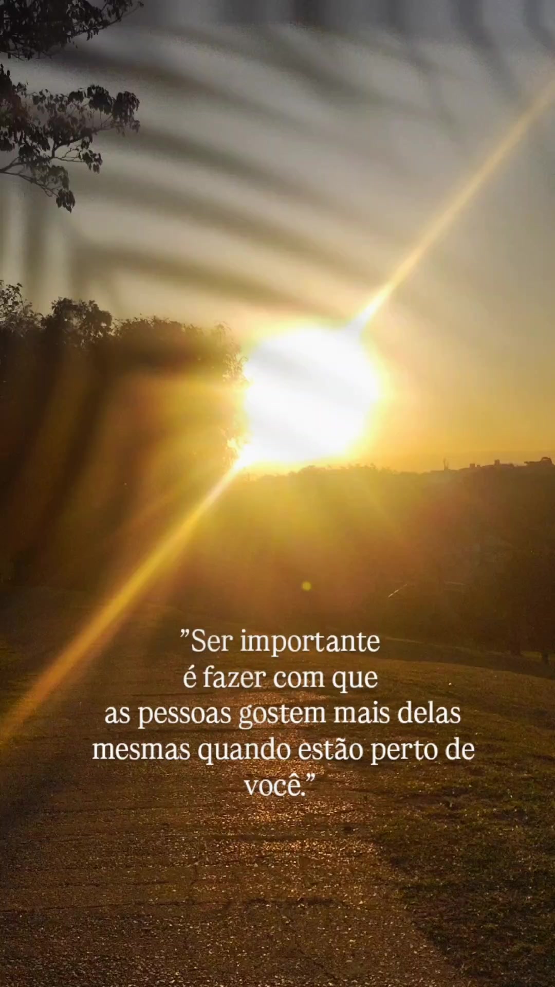 @Jacqueline Cavalcanti