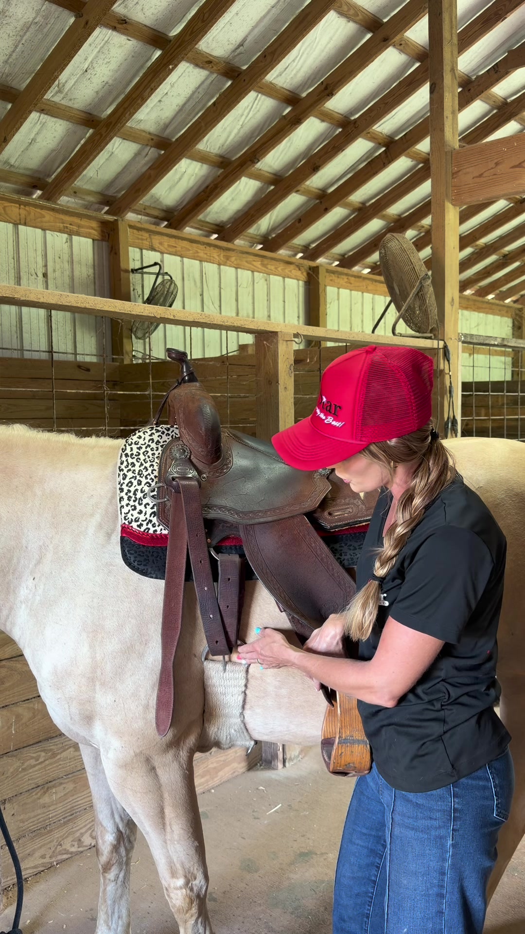 @5 Star Equine