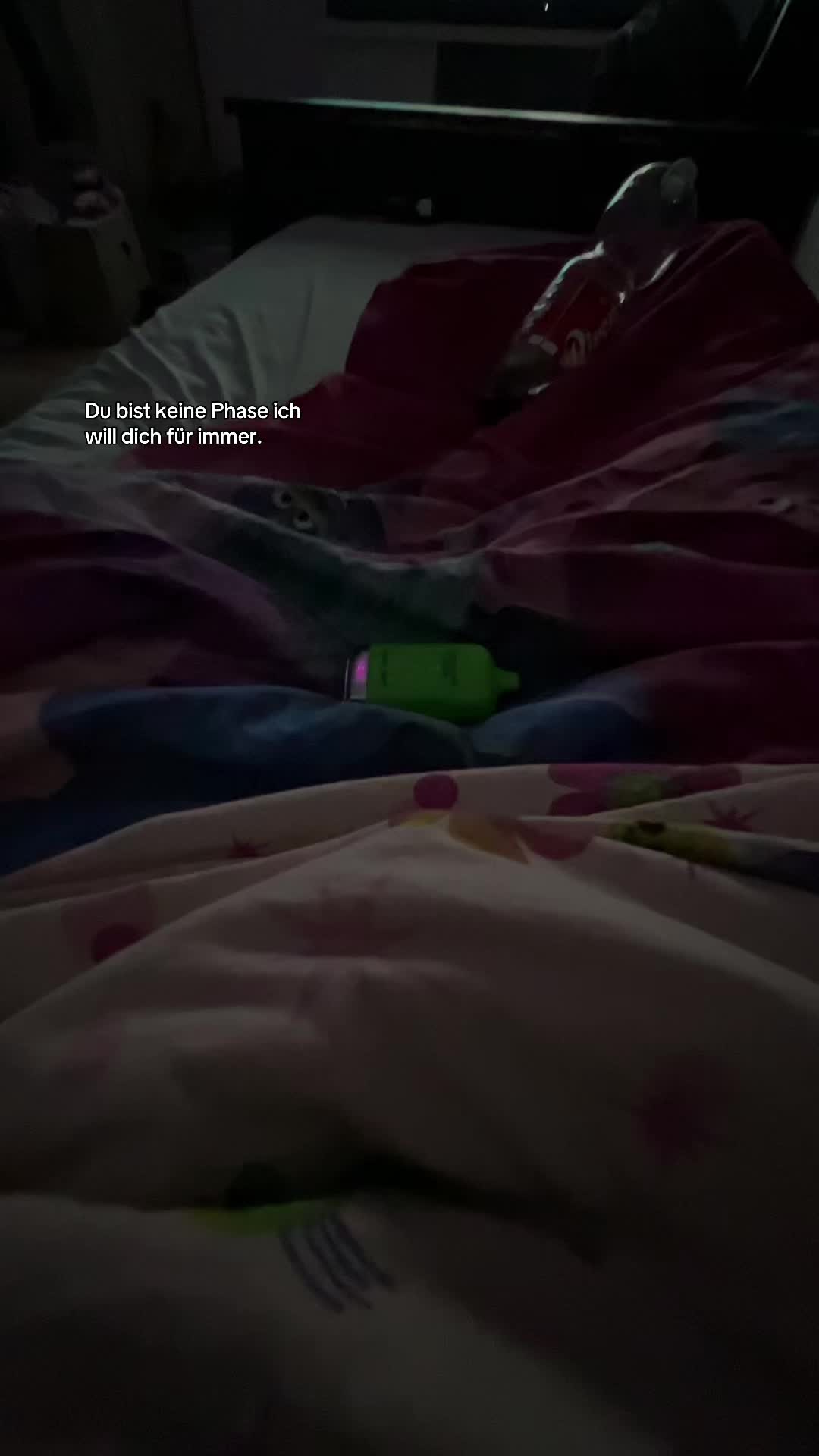 @anonym76287