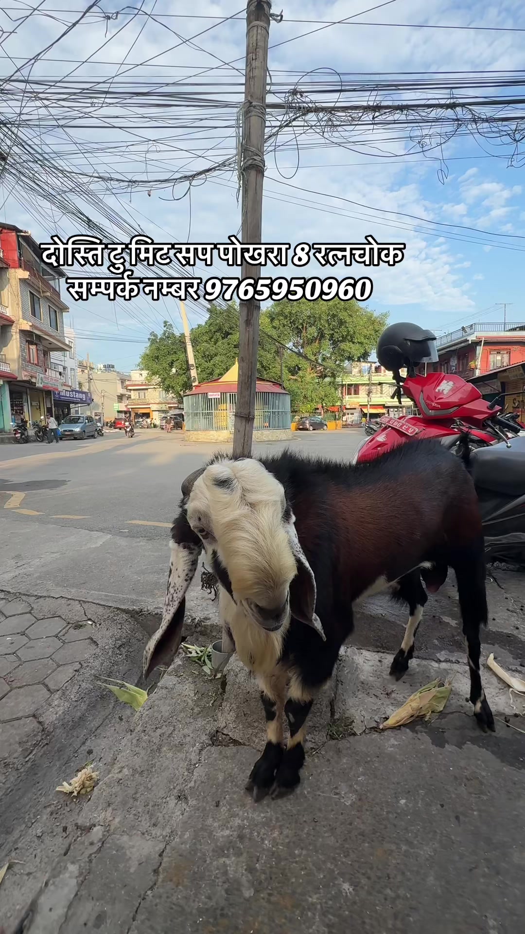 @दोस्ति टु मिट सप