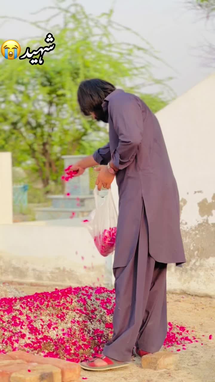 @Ch hamza bhatti