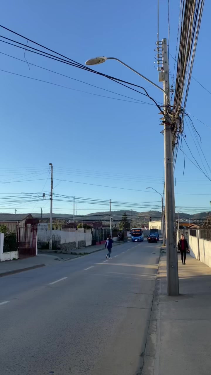 @busologia_b.s 